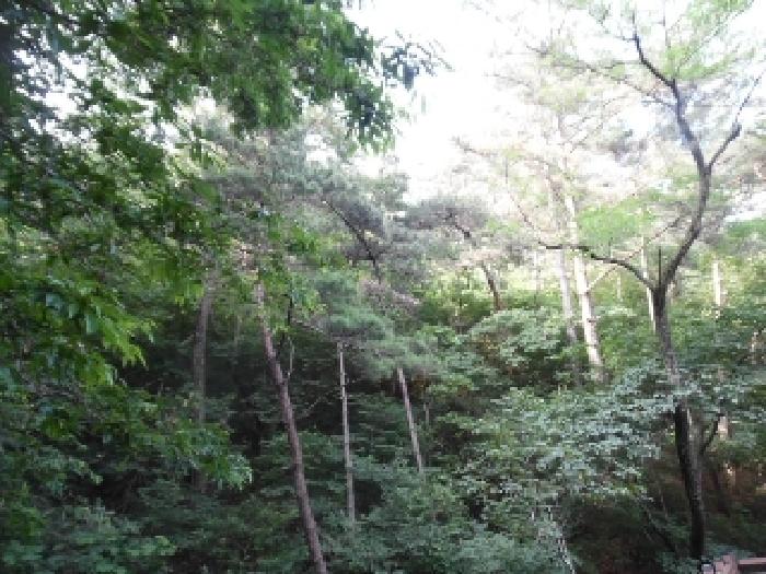 2025타경31167 경매 물건 대표 사진