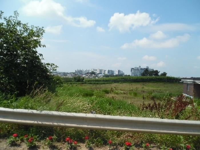 2025타경31357 경매 물건 대표 사진