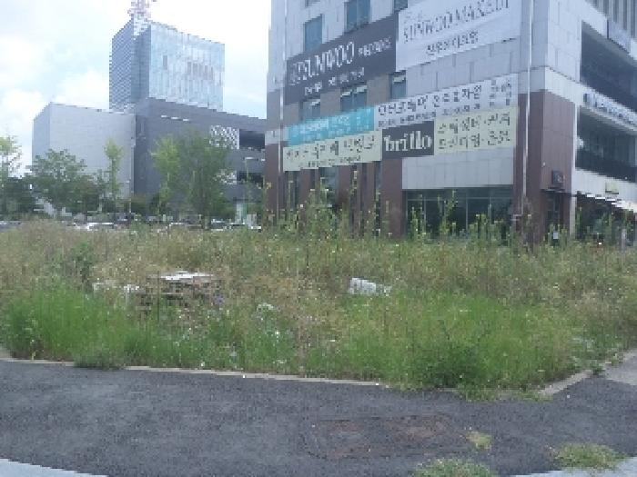 2025타경31471 전주지방법원 대지 법원경매 사진