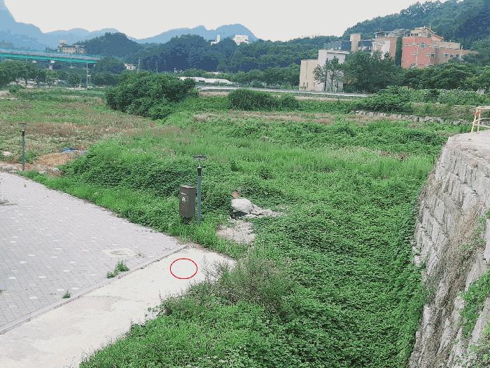 2025타경31530 경매 물건 대표 사진
