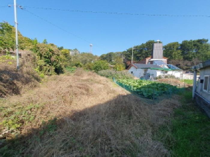 2025타경31850 경매 물건 대표 사진