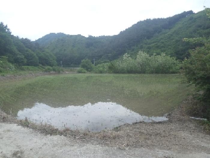 2025타경698 전주지방법원 전답 법원경매 사진