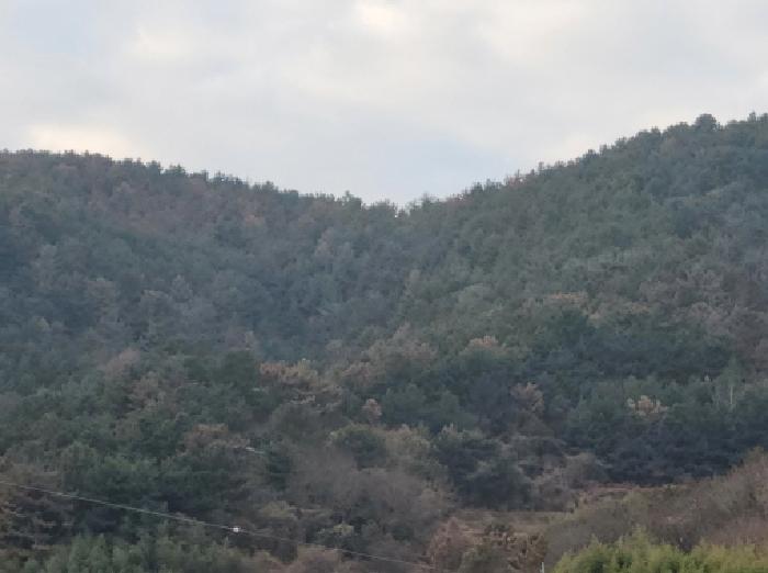2025타경710 전주지방법원 단독주택다가구 법원경매 사진
