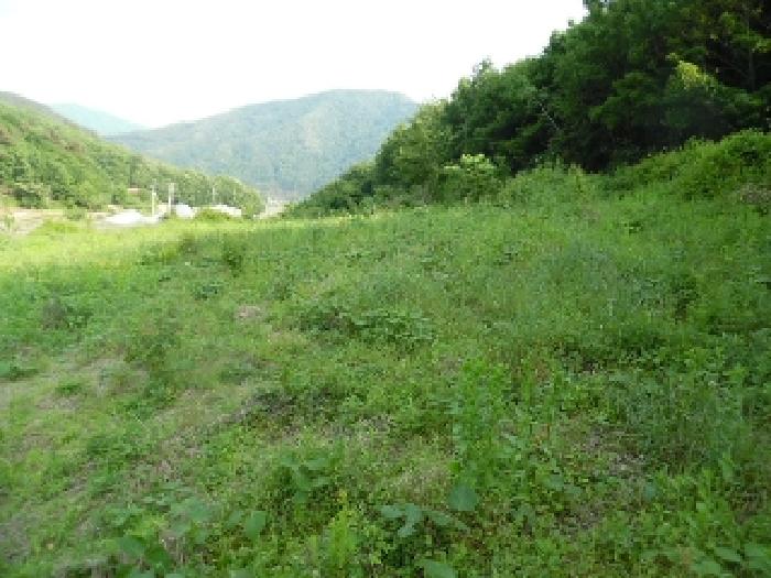 2025타경711 전주지방법원 전 법원경매 사진