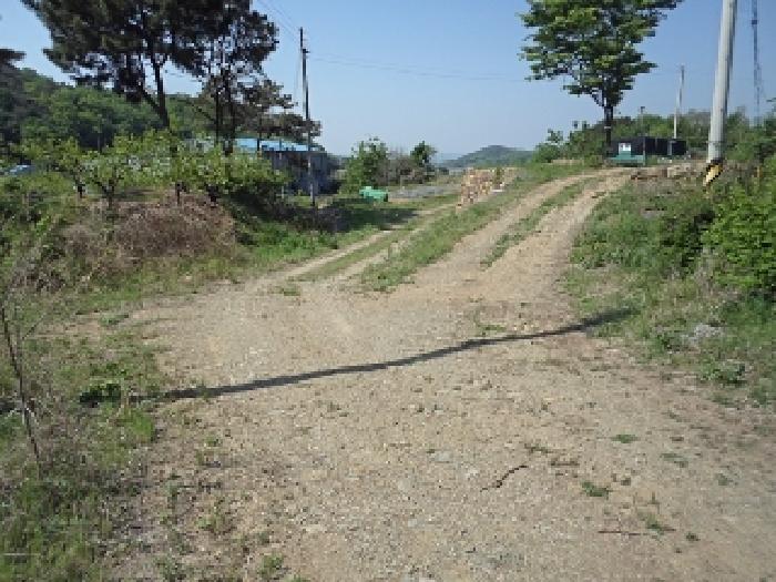 2025타경711 전주지방법원 전답 법원경매 사진
