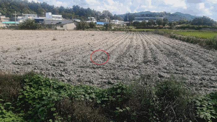 2025타경891 경매 물건 대표 사진
