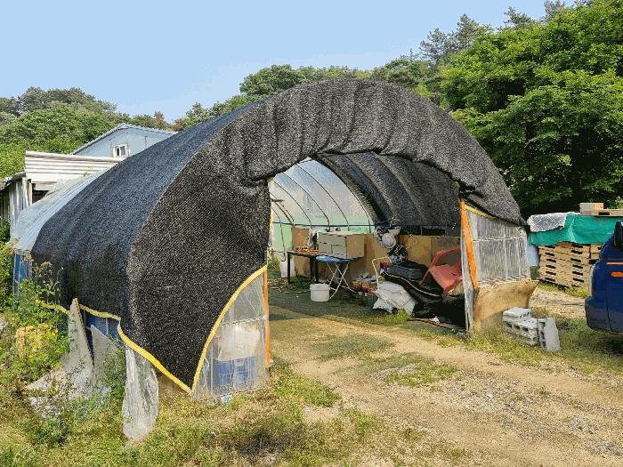 2025타경20909 군산지원 전답 법원경매 사진