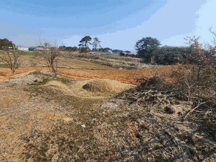 2025타경184 정읍지원 임야 법원경매 사진