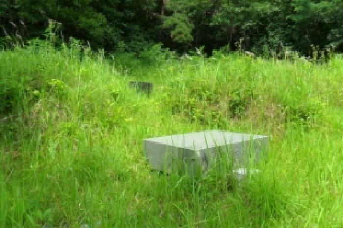 2025타경256 경매 물건 대표 사진