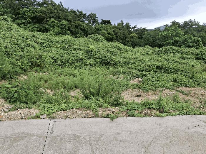 2025타경30336 경매 물건 대표 사진