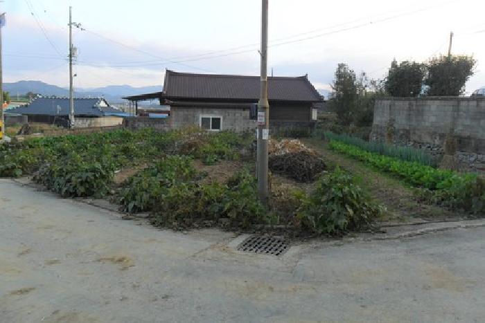2025타경30447 경매 물건 대표 사진