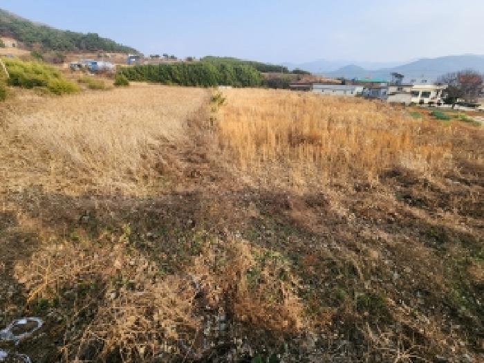 2025타경30501 경매 물건 대표 사진