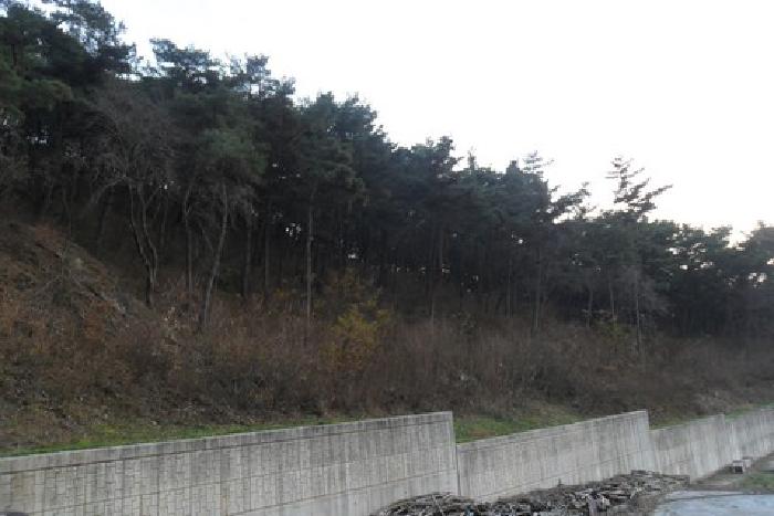 2025타경30502 경매 물건 대표 사진