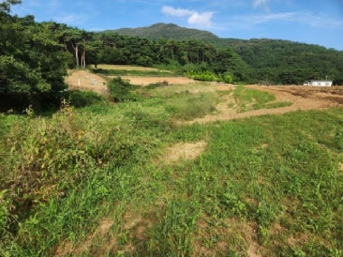 2025타경322 정읍지원 전 법원경매 사진