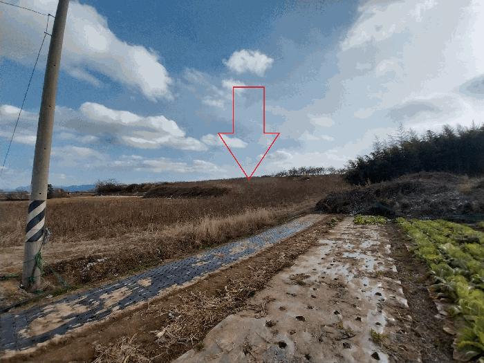 2026타경30004 경매 물건 대표 사진