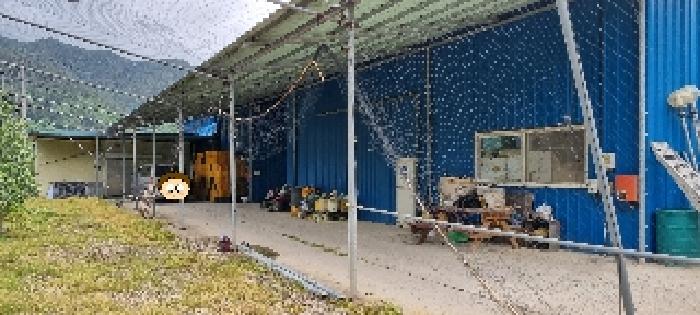 2025타경1142 경매 물건 대표 사진