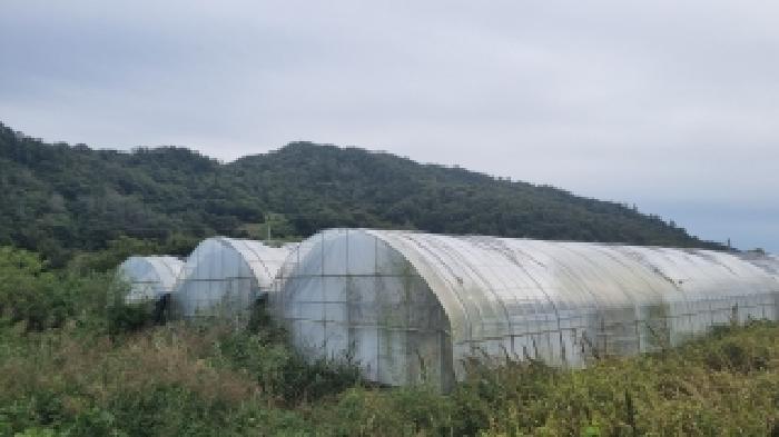 2025타경1180 남원지원 전답 법원경매 사진