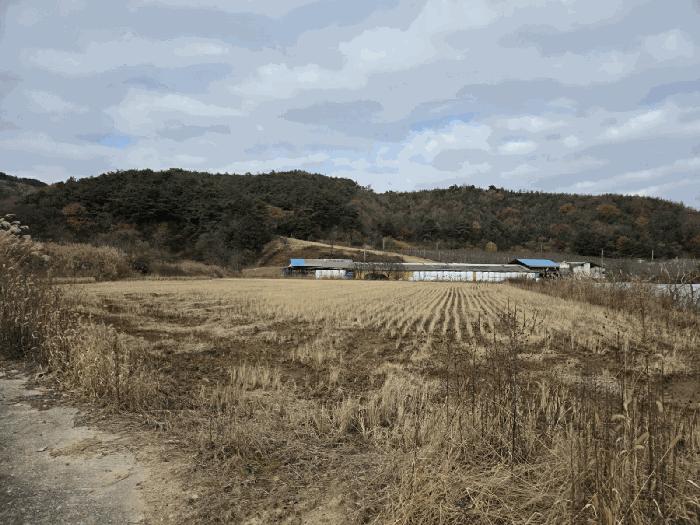2025타경1192 경매 물건 대표 사진
