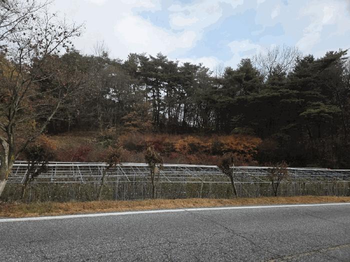 2025타경1199 경매 물건 대표 사진