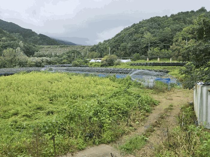 2025타경30242 경매 물건 대표 사진