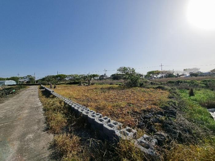 2024타경24953 경매 물건 대표 사진