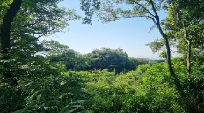 2025타경1251 경매 물건 대표 사진