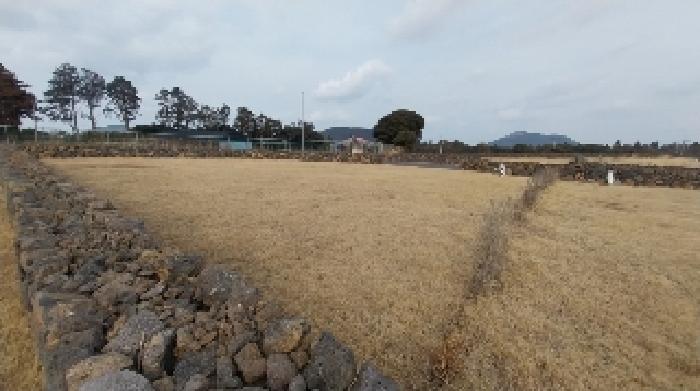 2025타경6556 경매 물건 대표 사진