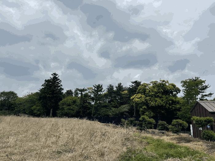 2025타경8036 경매 물건 대표 사진