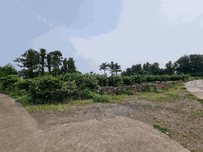 2025타경8109 경매 물건 대표 사진