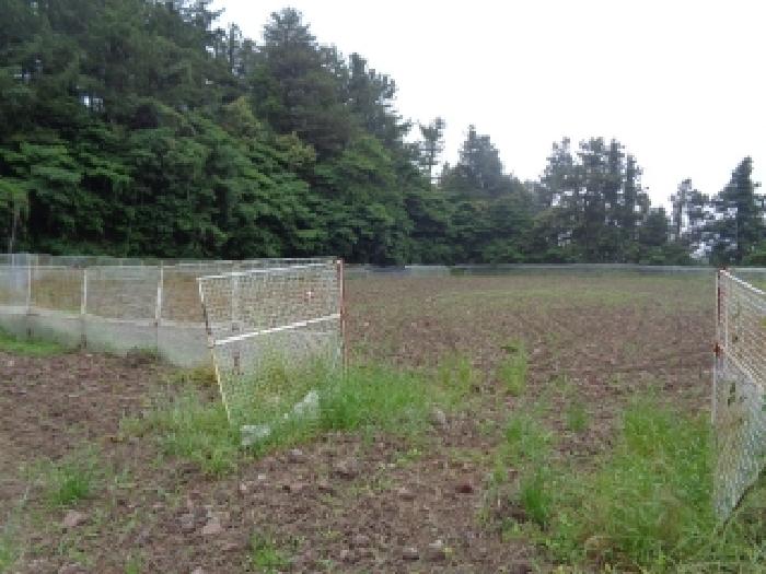 2025타경8125 경매 물건 대표 사진