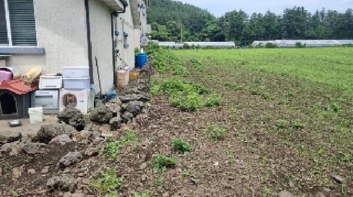 2025타경8199 경매 물건 대표 사진