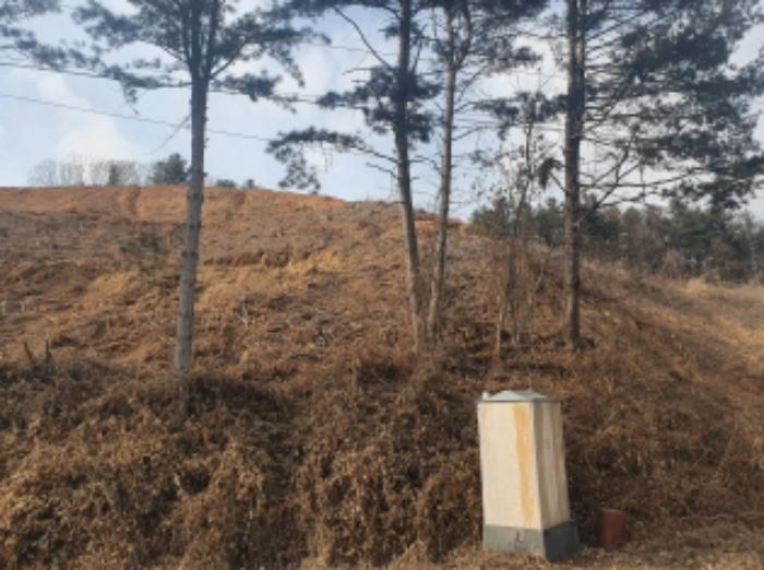 2024타경86307 경매 물건 대표 사진
