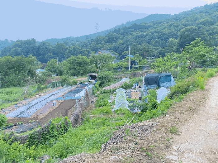 2025타경1693 경매 물건 대표 사진