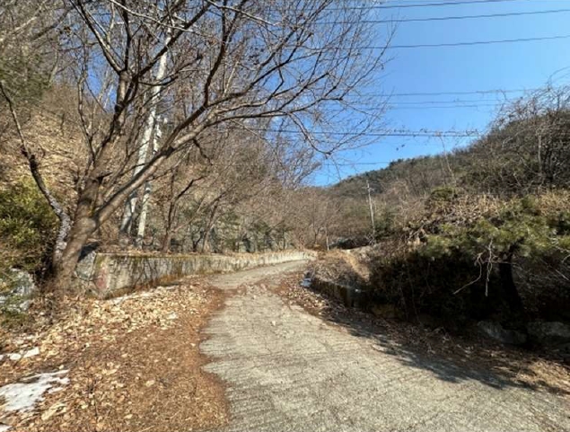 2025타경70521 경매 물건 대표 사진