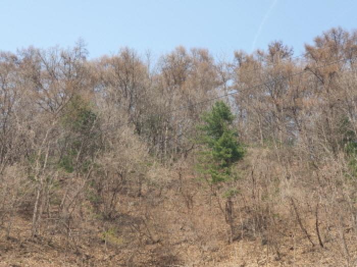 2025타경71424 경매 물건 대표 사진
