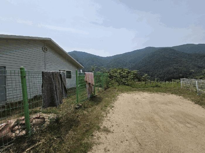 2025타경71745 경매 물건 대표 사진