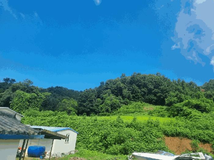 2025타경72063 경매 물건 대표 사진