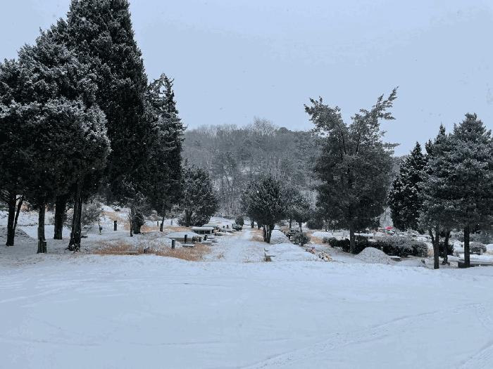 2024타경85648 경매 물건 대표 사진