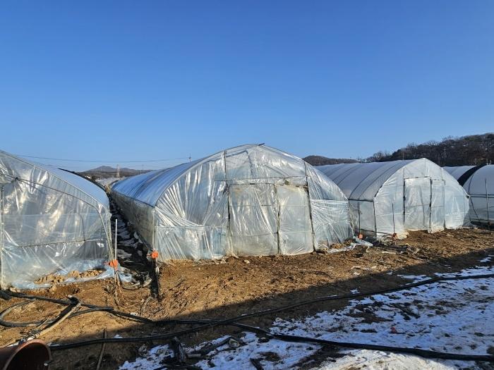 2024타경9187 경매 물건 대표 사진
