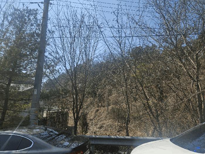 2025타경1180 경매 물건 대표 사진