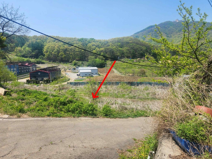 2025타경1999 경매 물건 대표 사진