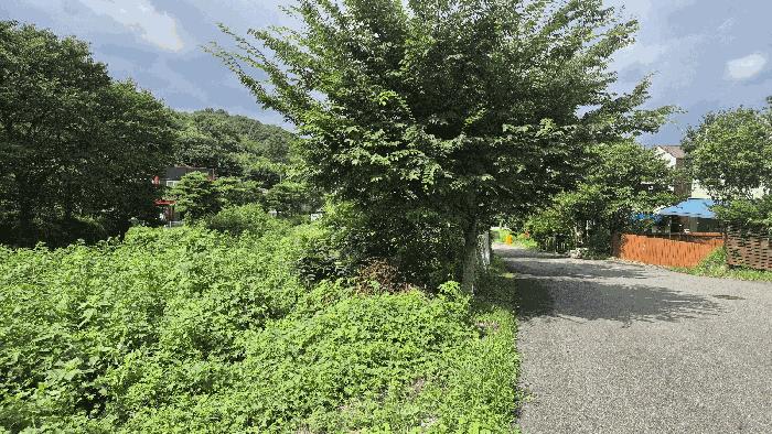 2025타경63859 경매 물건 대표 사진