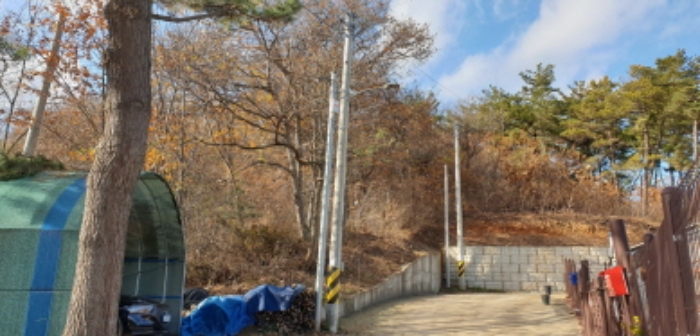 2024타경5557 안산지원 임야 법원경매 사진