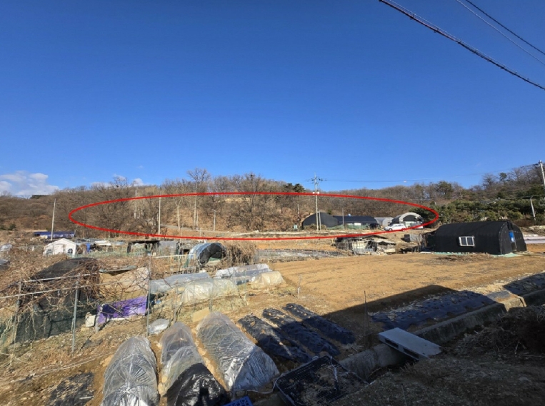 2025타경50868 안산지원 임야 법원경매 사진