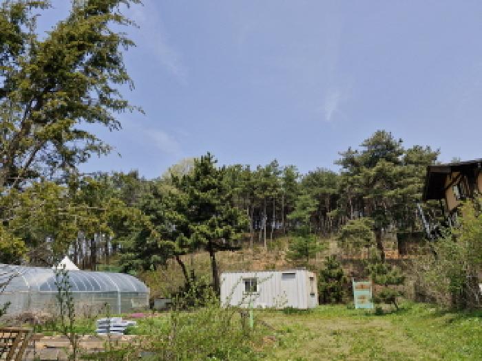 2025타경52156 경매 물건 대표 사진