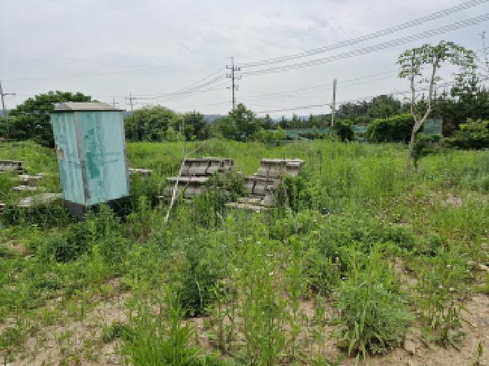 2025타경52423 경매 물건 대표 사진