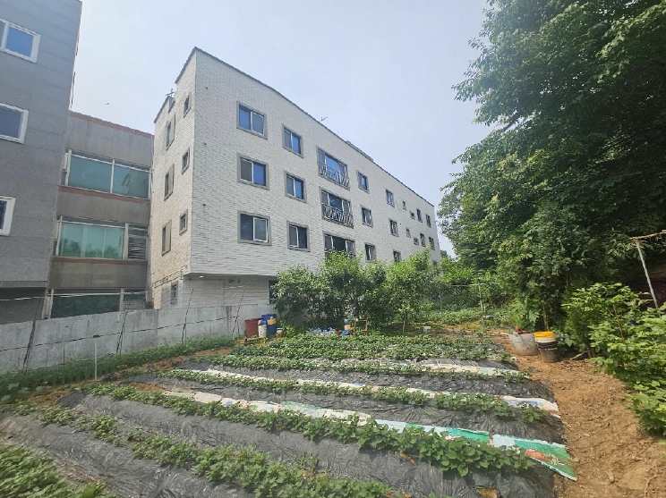 2025타경52487 경매 물건 대표 사진