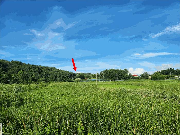 2025타경52998 경매 물건 대표 사진