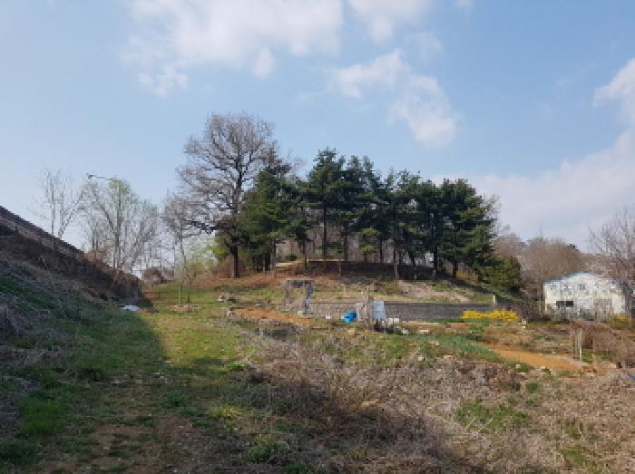 2025타경547 안산지원 임야 법원경매 사진
