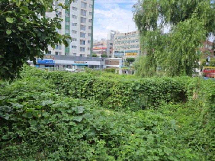 2025타경773 안산지원 대지 법원경매 사진